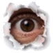 Dienstefinder